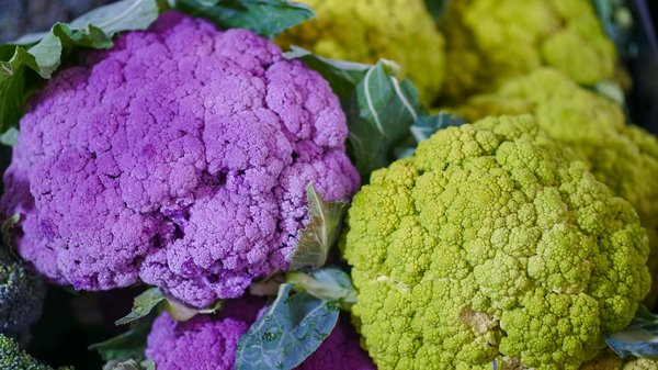 Explorez les bienfaits du miel d'oranger pur du maroc